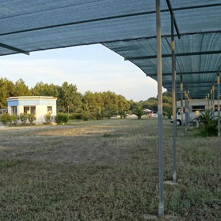 Villaggio Alga Blu Vieste Luaran gambar